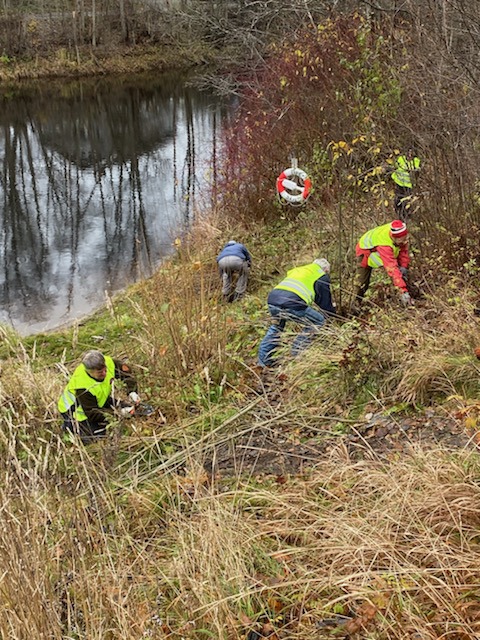 Røa Vel søker frivillige til dugnadsgruppe