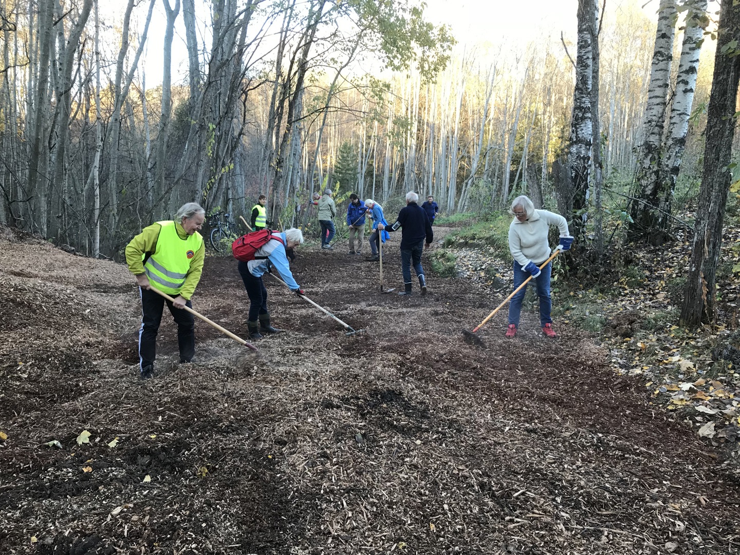 Utbedringer av grønne lunger og turveier på Røa